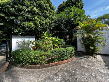 garden maintenance