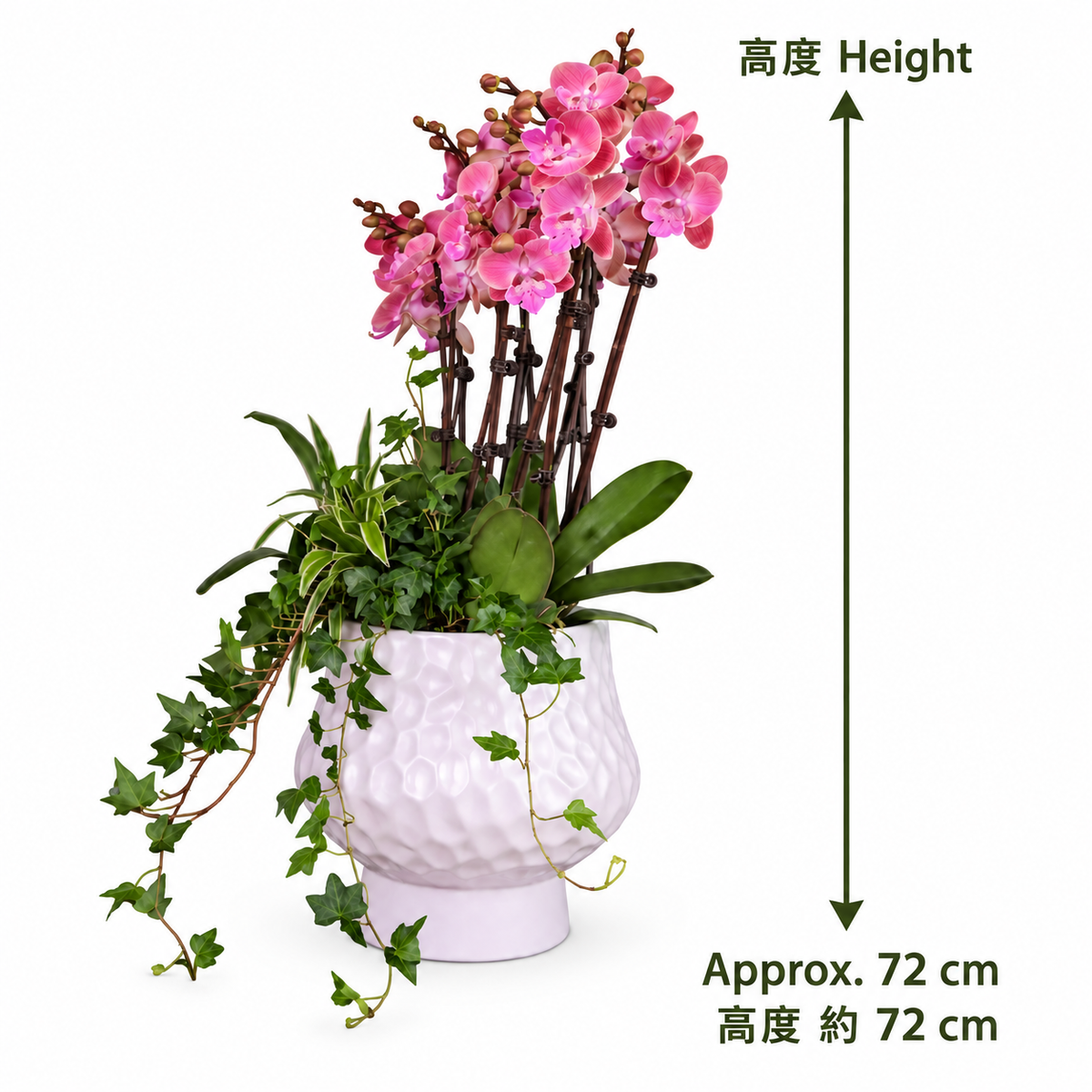 04-size-web