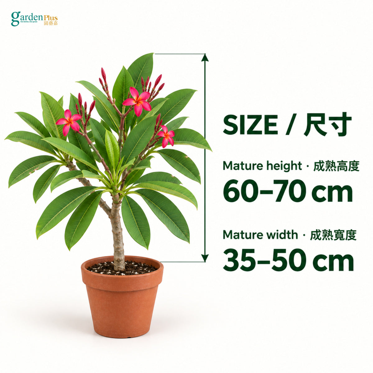 04-size-web