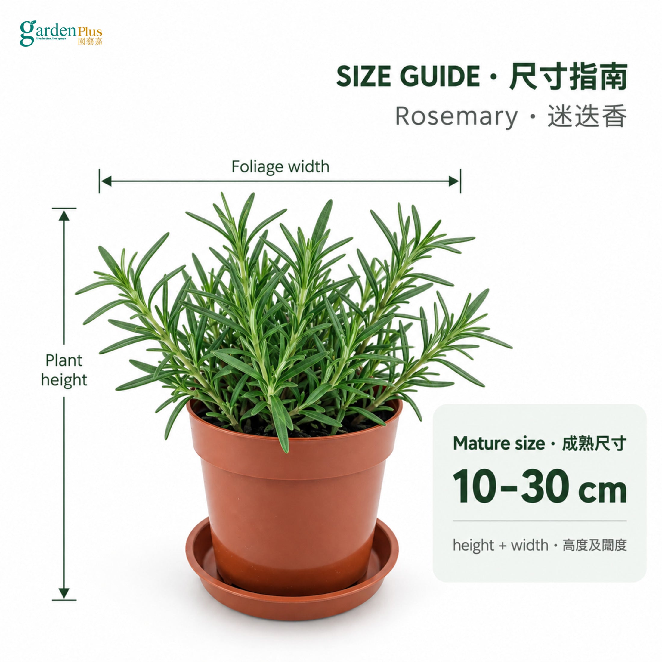04-size-web