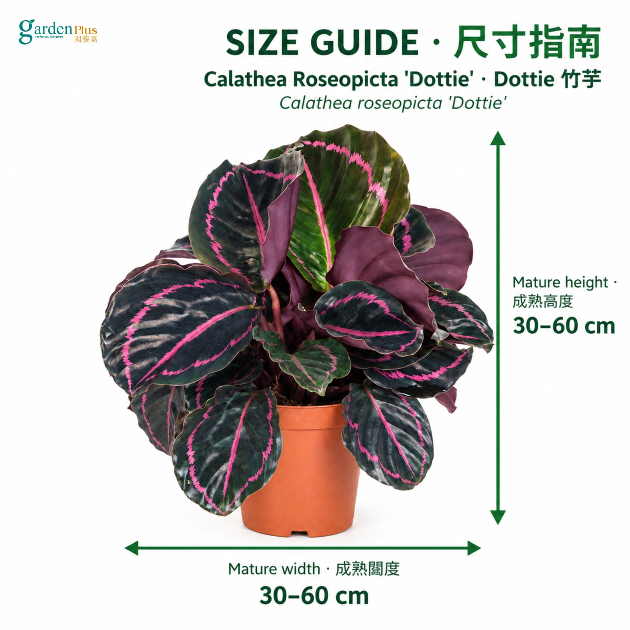 04-size
