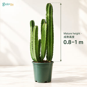 04-size