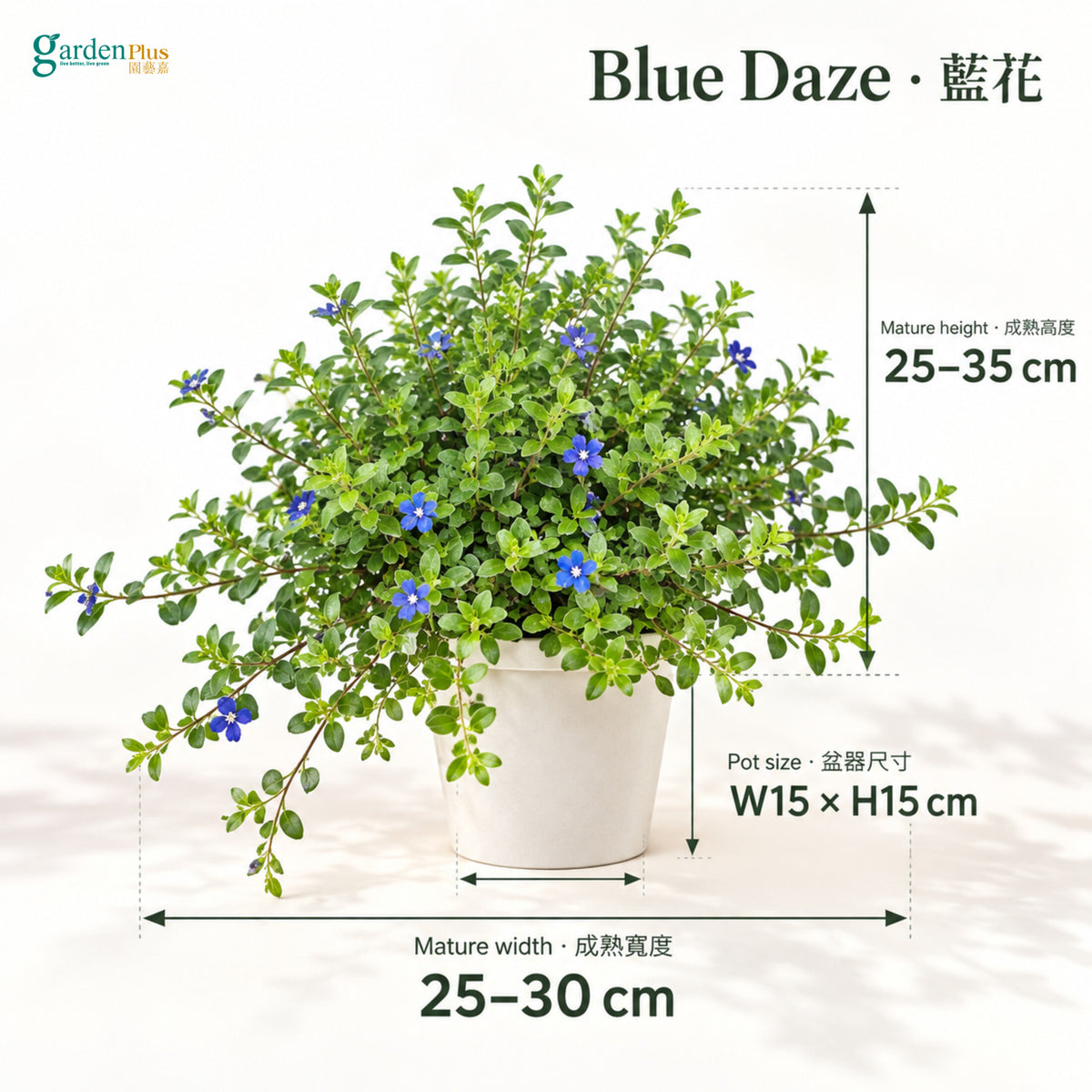 04-size