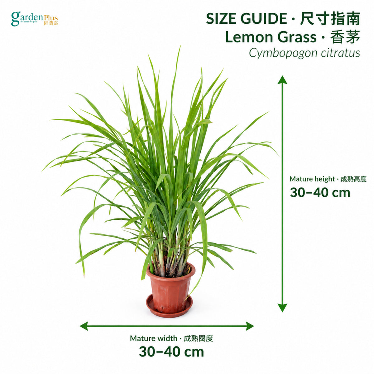04-size