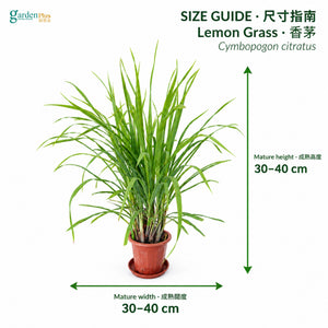 04-size