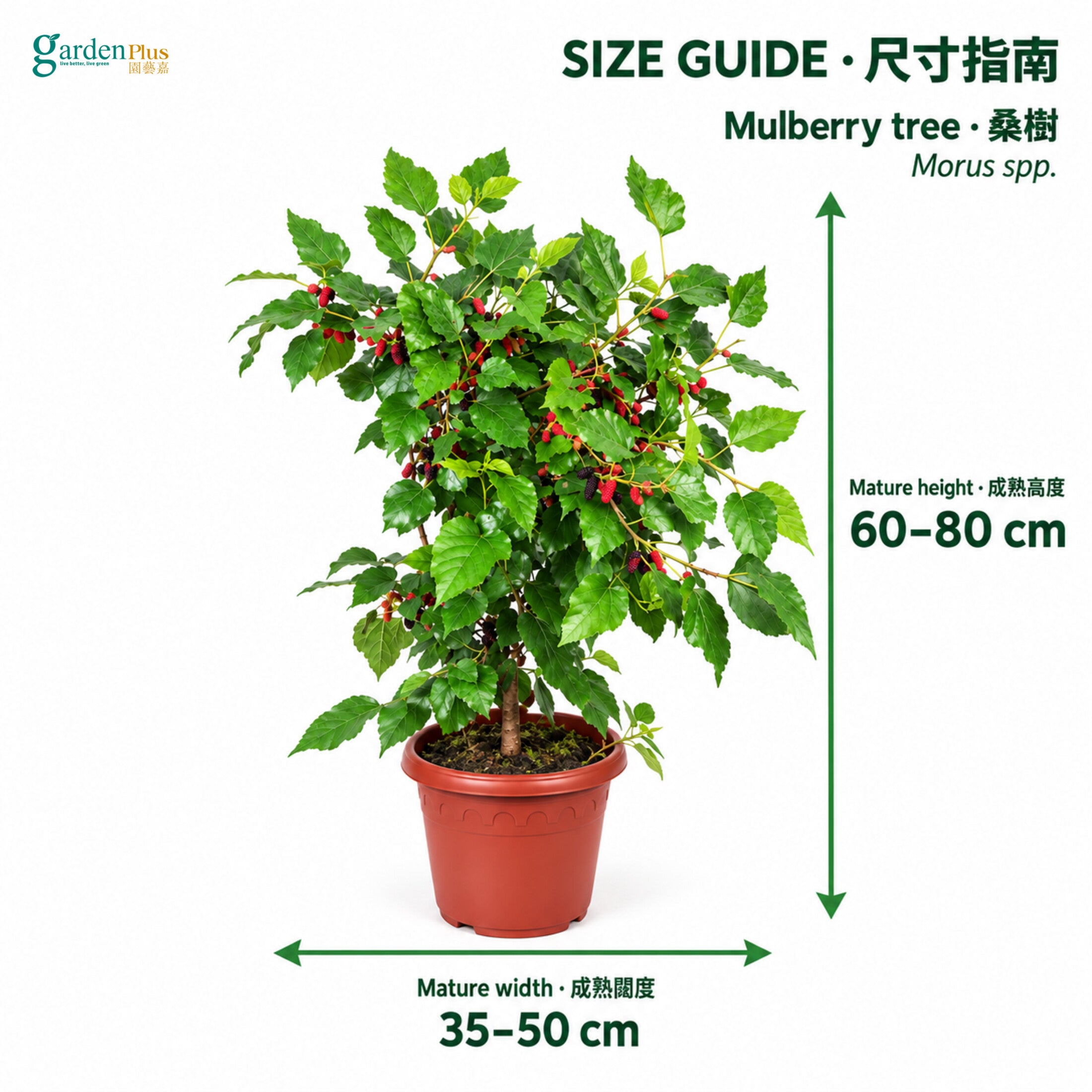 04-size
