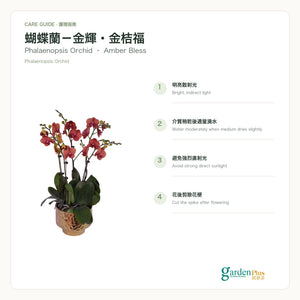 05-care-web