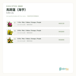 05-pots-web