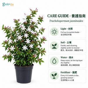 06-care-web