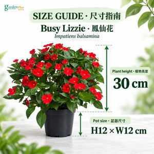 07-size