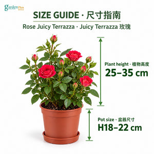 08-size