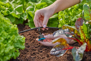 Gardena T-Joint for Spray Nozzles / Endline Drip Heads 4.6 mm (3/16") Garden Plus