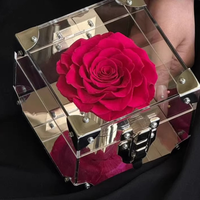 Rose Treasure Box – Preserved Rose Collection