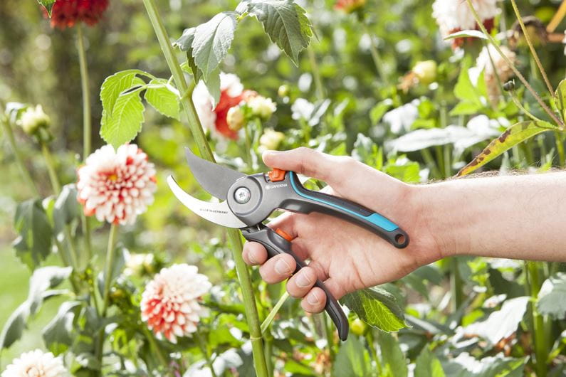 Gardena Garden Secateurs B/M Garden Plus