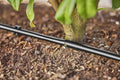 Gardena Drip Irrigation Line for bushes or hedges (25 m) Garden Plus