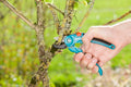 Gardena Garden Secateurs A/S Garden Plus