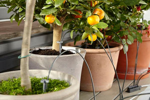 Gardena Holiday Watering Set Garden Plus