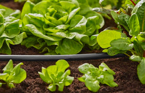 Gardena Connecting Pipe Flex 13 mm (1/2"), 15m Garden Plus