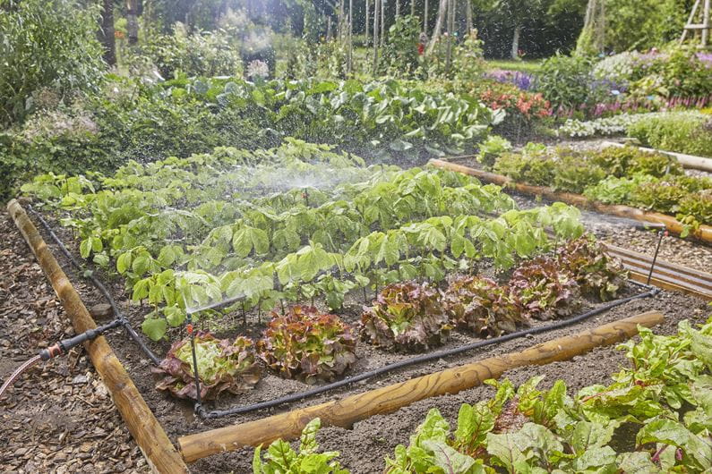 Gardena Micro-Drip-Irrigation Vegetable Bed/Flower Border Set (60 m²) Garden Plus