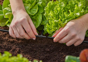 Gardena T-Joint 4.6 mm (3/16") Garden Plus