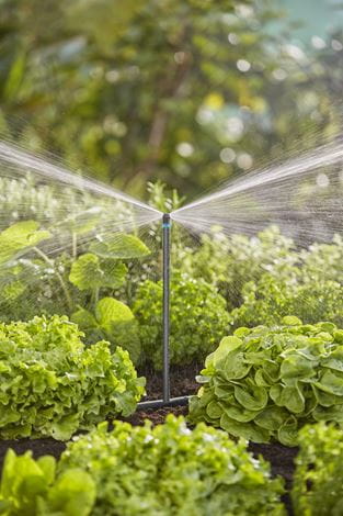 Gardena Extension Pipe for Spray Nozzles Garden Plus