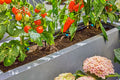 Gardena Micro-Drip-Irrigation Terrace Set (30 plants) Garden Plus