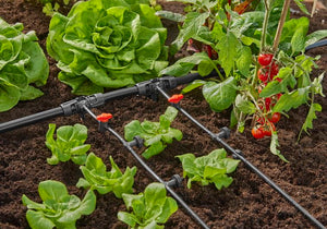 Gardena Inline Drip Head 2 l/h, pressure compensating Garden Plus