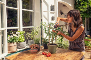 Gardena FreshCut Garden Plus