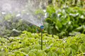 Gardena Extension Pipe for Spray Nozzles Garden Plus