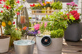 Gardena Solar-powered Irrigation AquaBloom Set Garden Plus