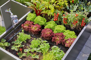 Gardena Start Set for raised beds/beds (35 plants) Garden Plus