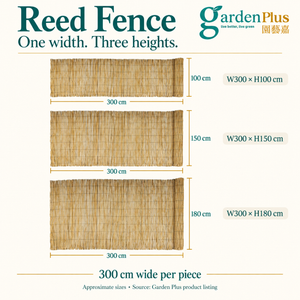 Reed fence size guide: width 300 cm; heights 100, 150 or 180 cm