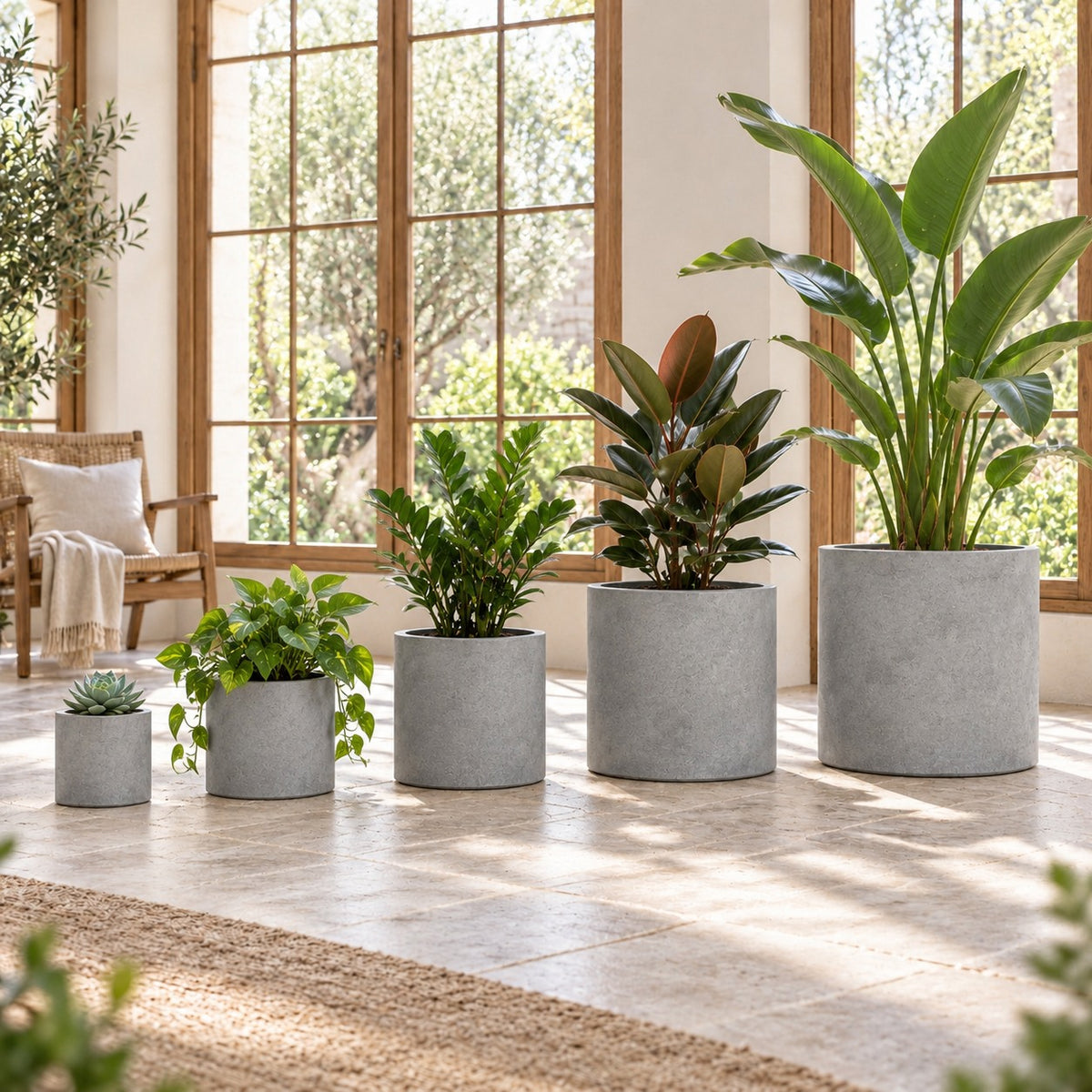 Five sizes of cylindrical grey cement planters styled with plants in a bright interior