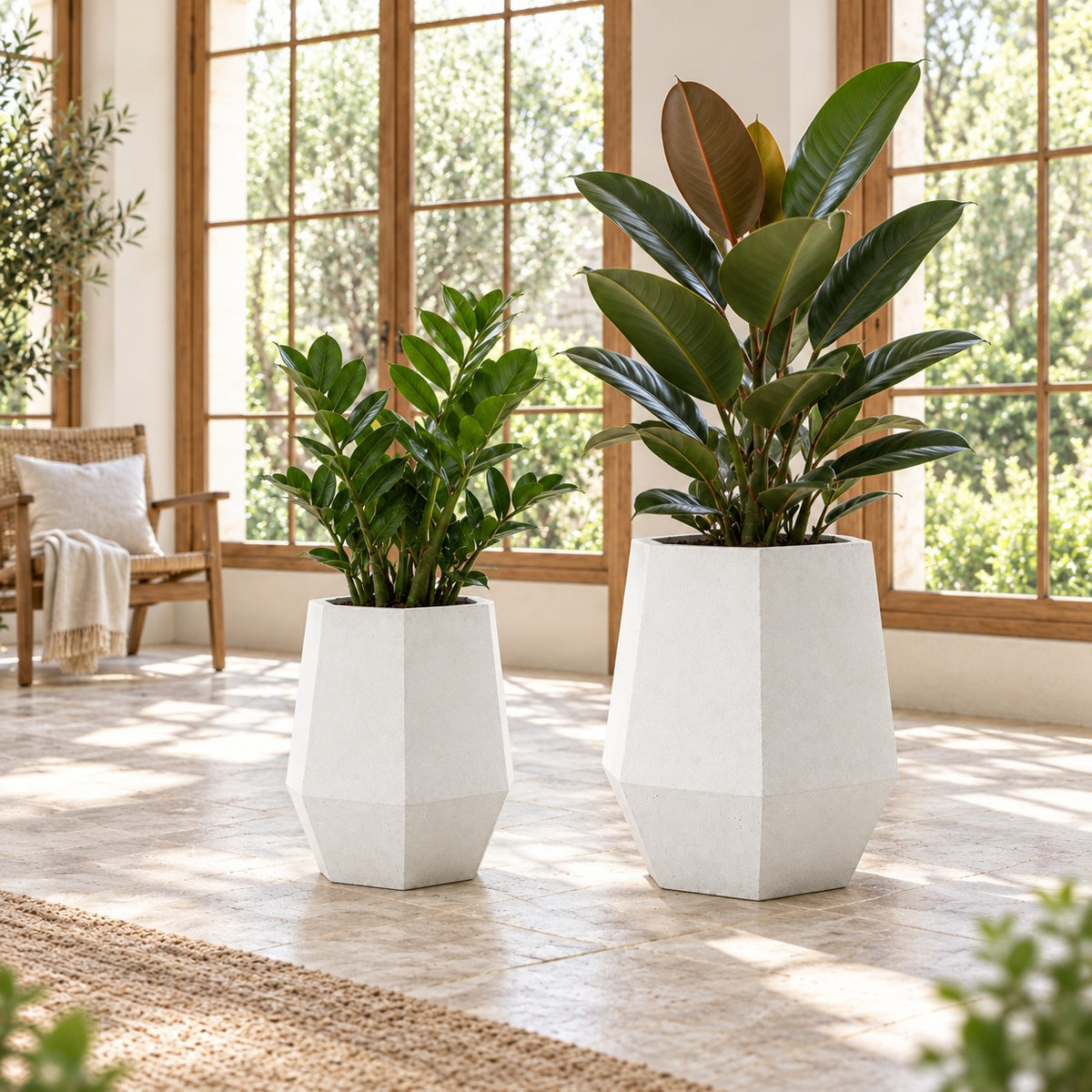Two sizes of six-sided cement planters styled with plants in a bright interior