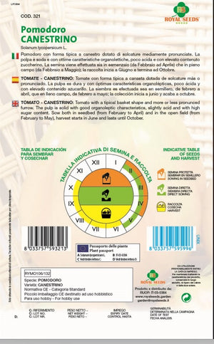 Tomato - Canestrino - Royal Seed RYMO106/132 - COD.321 Garden Plus