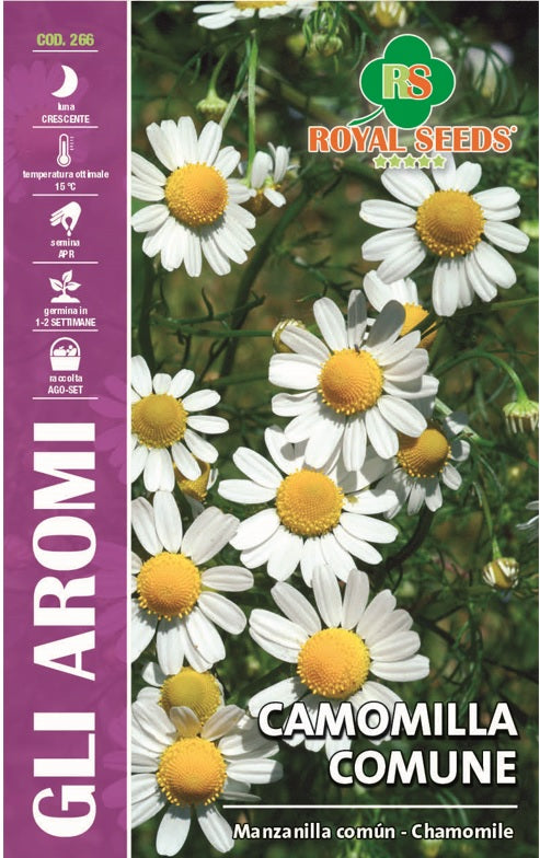 MATRICARIA CHAMOMILLA COMMON CHAMOMILE - Royal seed RYMA18/1 - COD.266 Garden Plus