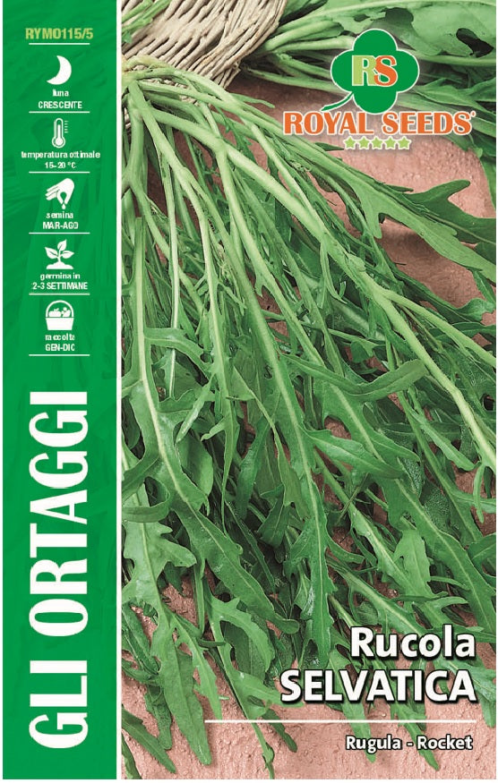 Rugula Rocket- Royal Seed RYM115/5 Garden Plus
