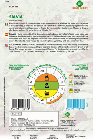Sage - Royal seed RMYA119/1 - COD.384 Garden Plus