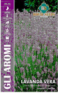 True Lavender Vera - Royal Seed RYMA87/1 - COD.262 Garden Plus