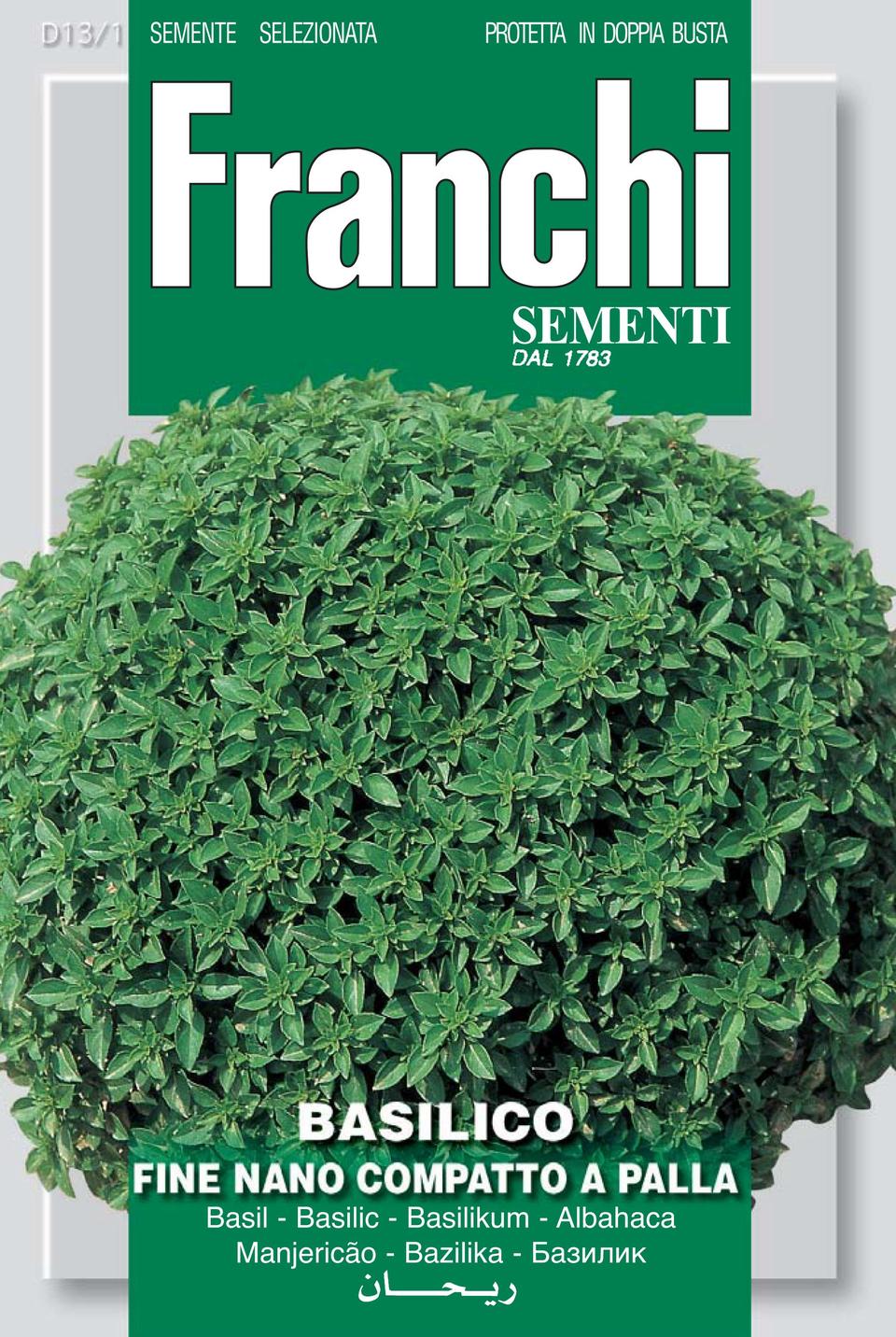 Greek Basil - Franchi Garden Plus
