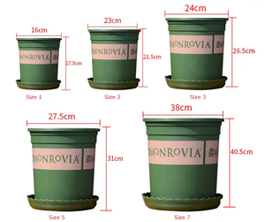 Monrovia Plastic Pot Garden Plus