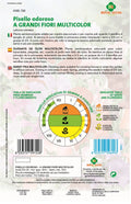 Guisante de Olor - Sweet Pea - Royal Seed RYMA344/1 Garden Plus