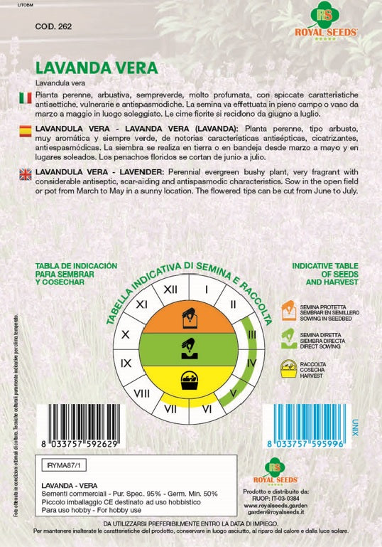 True Lavender Vera - Royal Seed RYMA87/1 - COD.262 Garden Plus