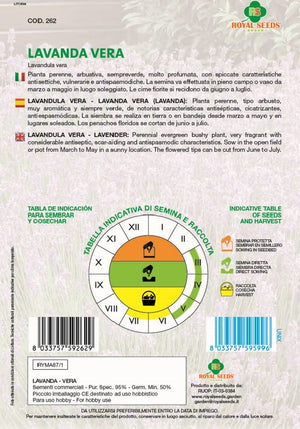 True Lavender Vera - Royal Seed RYMA87/1 - COD.262 Garden Plus