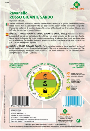 Red Radish Gigante Sardo - Royal Seed RYMO112/34 Garden Plus