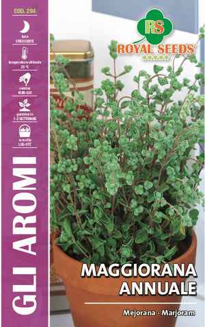 Mejorara - Majoram- Royal Seeds RYMA88/1 - COD.294 Garden Plus