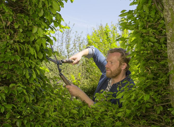 Hedge Clippers Nature Cut Garden Plus