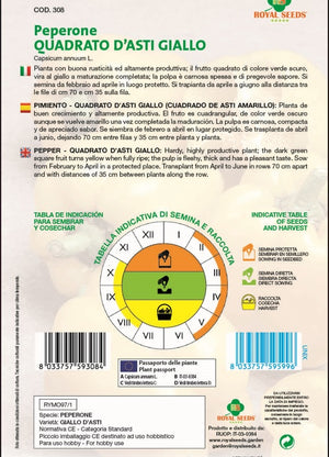 Pimiento - Yellow Pepper - Royal Seed RYMO97/1 - COD.308 Garden Plus