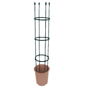 Plant Support & Cage Garden Plus