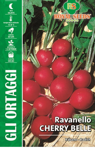 Red Radish - Cherry Belle- Royal Seed RYMO112/12 Garden Plus